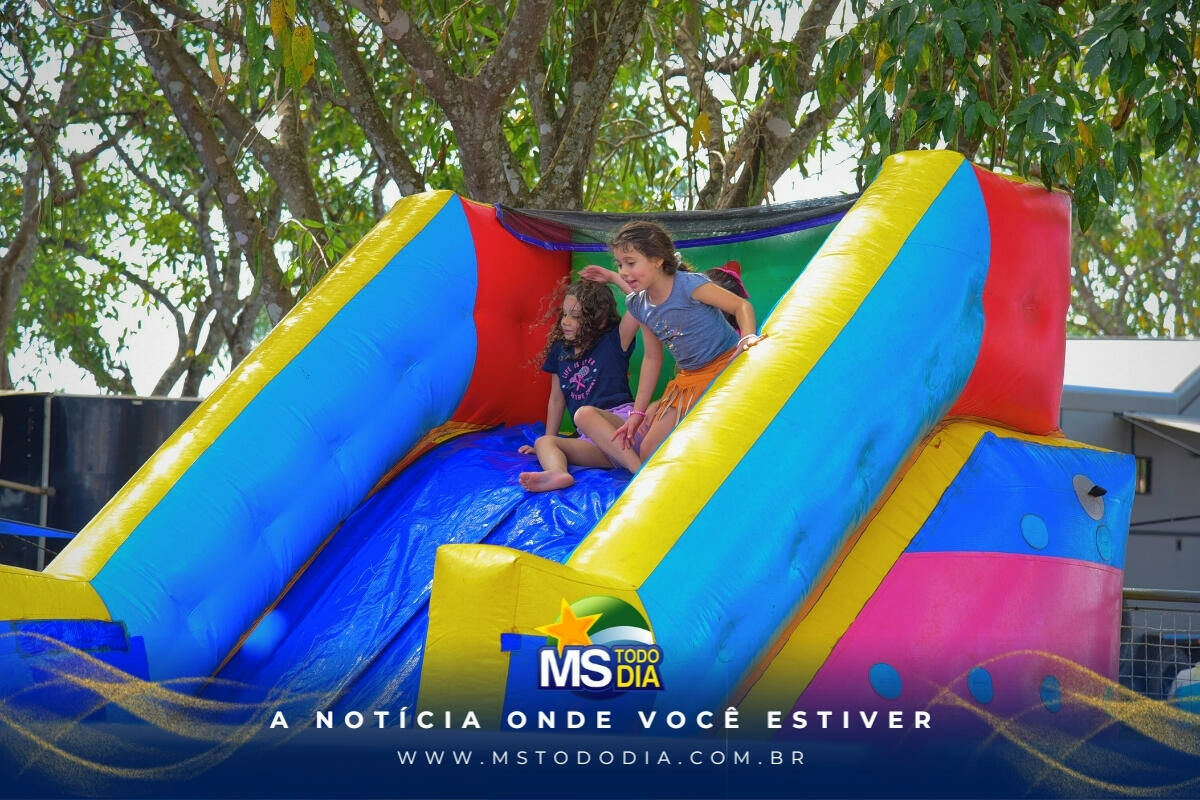 Imagem da Galeria